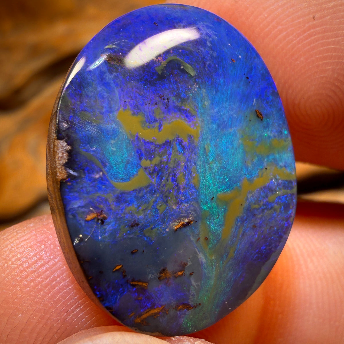 27.2cts - Australian Boulder Seam Opal. Top Reef Pattern