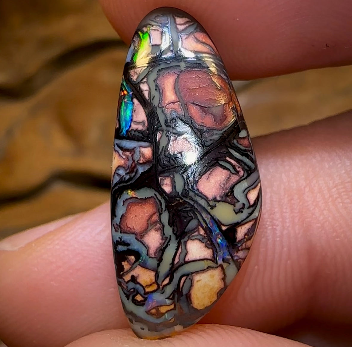 Opal Consultancy: Live Video Sessions with the Experts & Save Up to 30% - Opal Whisperers