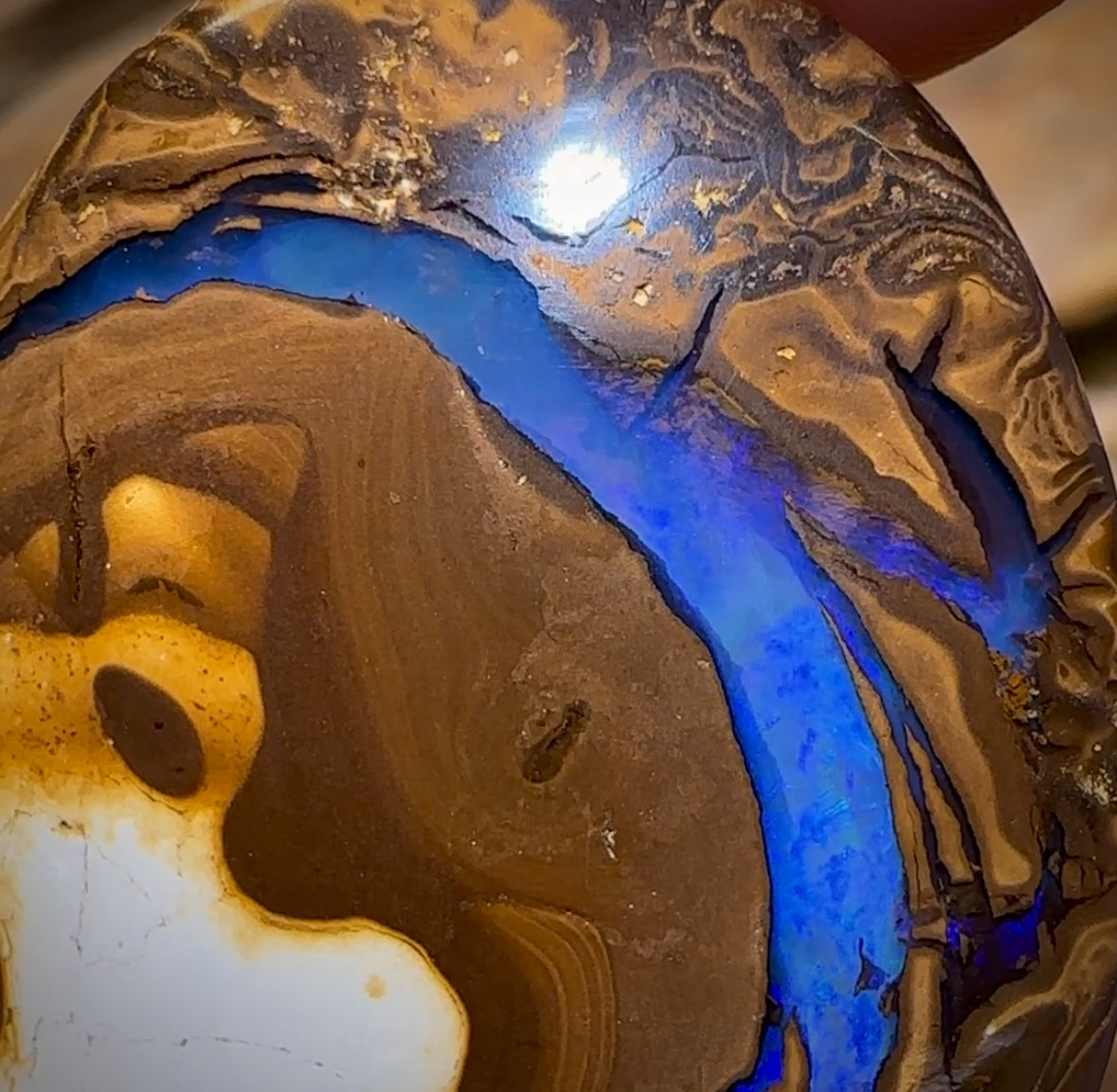 Auction Fall-Through = Your Gain! 🔥 Now More Than 50% Off RRP 🚨 108.5cts - Amazing Queensland Boulder Opal Picture Stone from Yowah