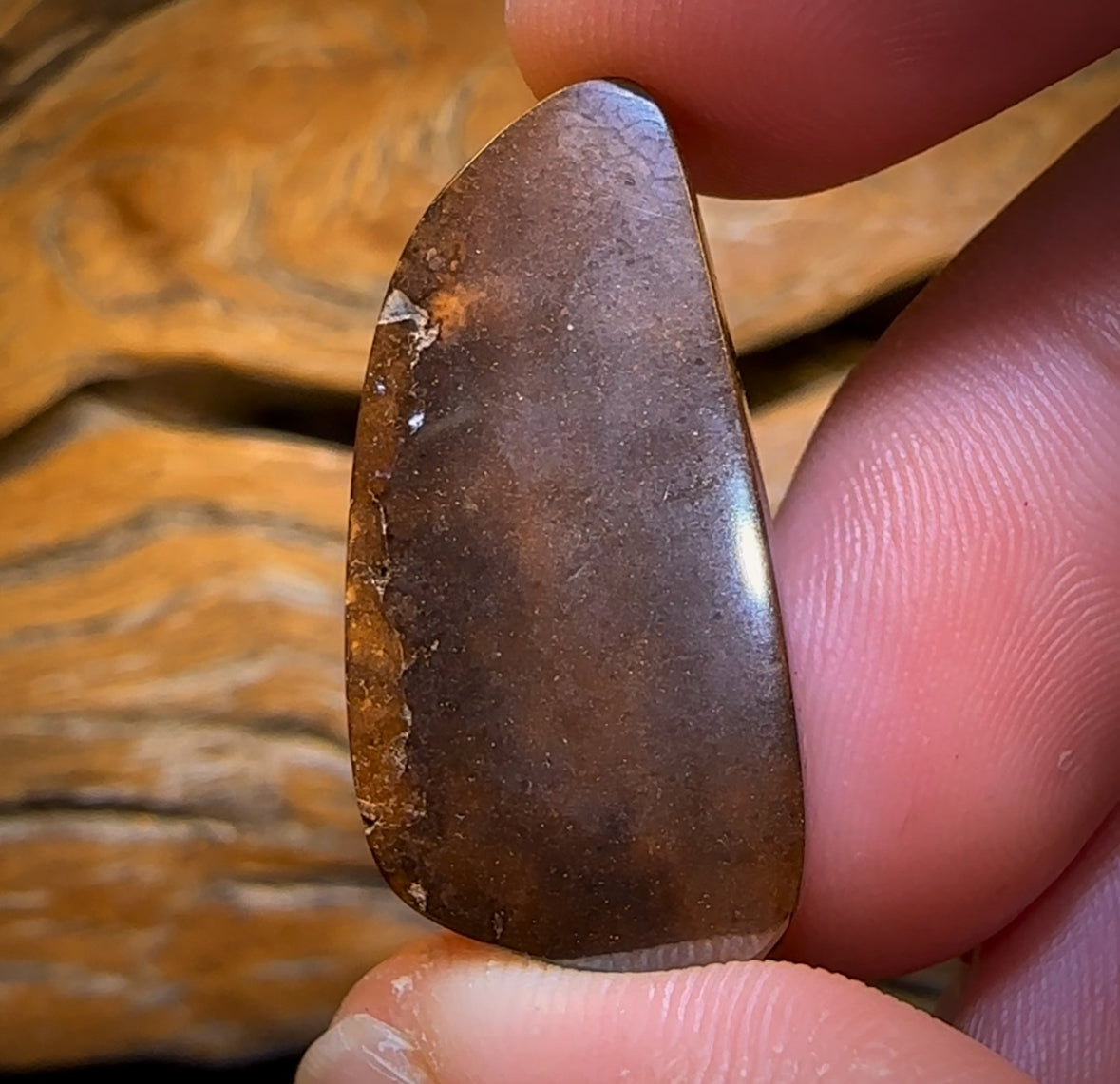 49.3cts - Thick, Chunky Tribal Magic Australian Boulder Opal from Koroit