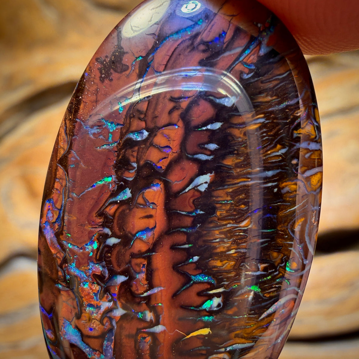 Aren’t You Glad you stayed until the end Card! 45.4cts - Tribal Koroit Nut Opal. Double Sided