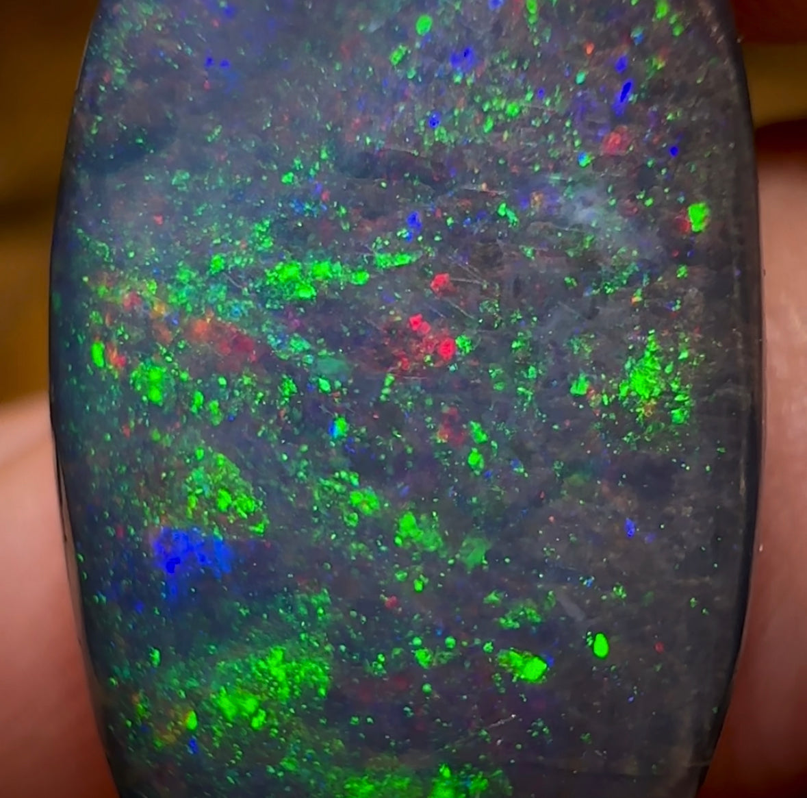 13.4cts - TOP Queensland Black Boulder Seam Opal. GEM QUALITY - Opal Whisperers