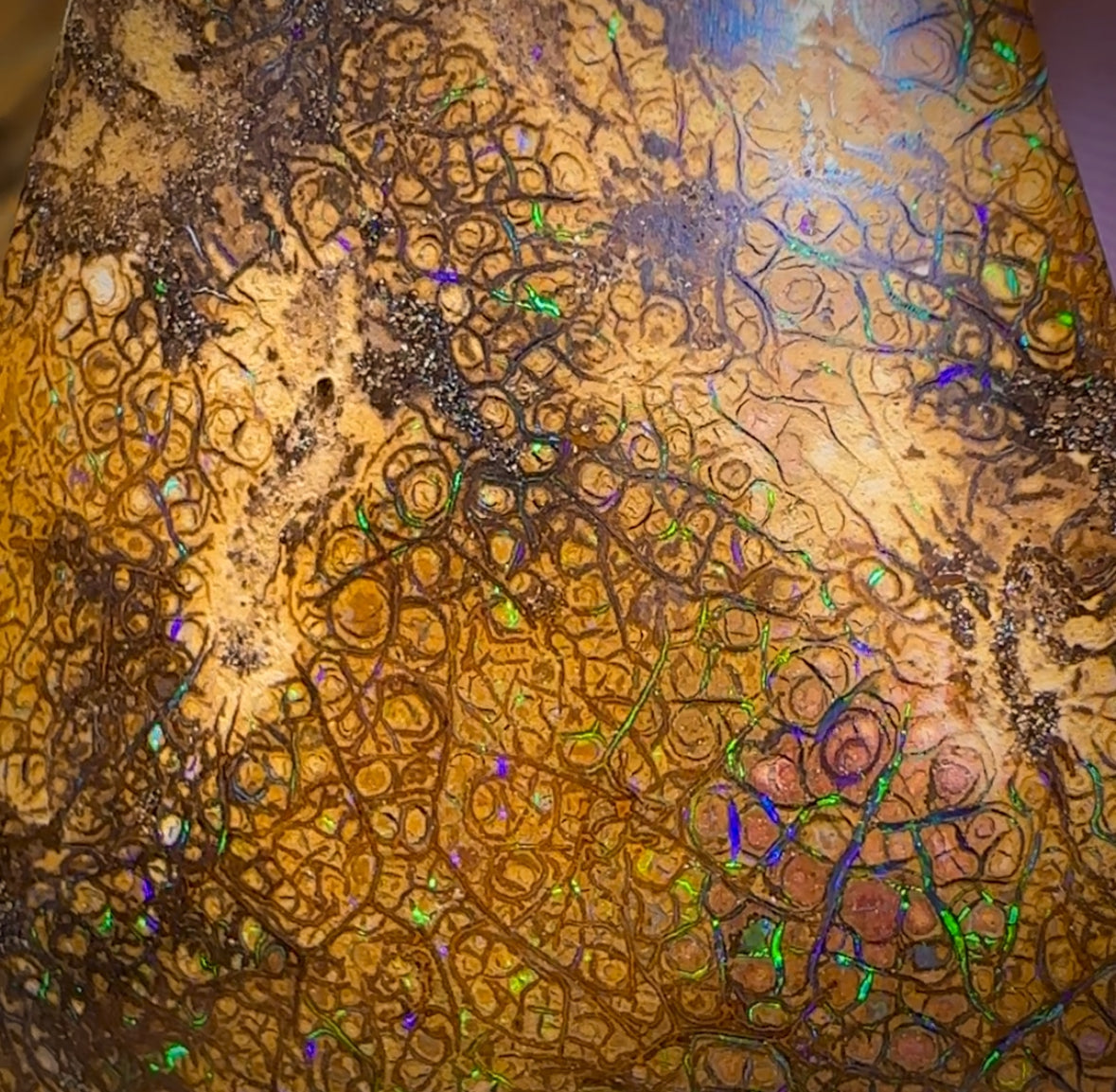 282.5cts - Intricate Tan Tribal Queensland Boulder Opal. Polished Specimen