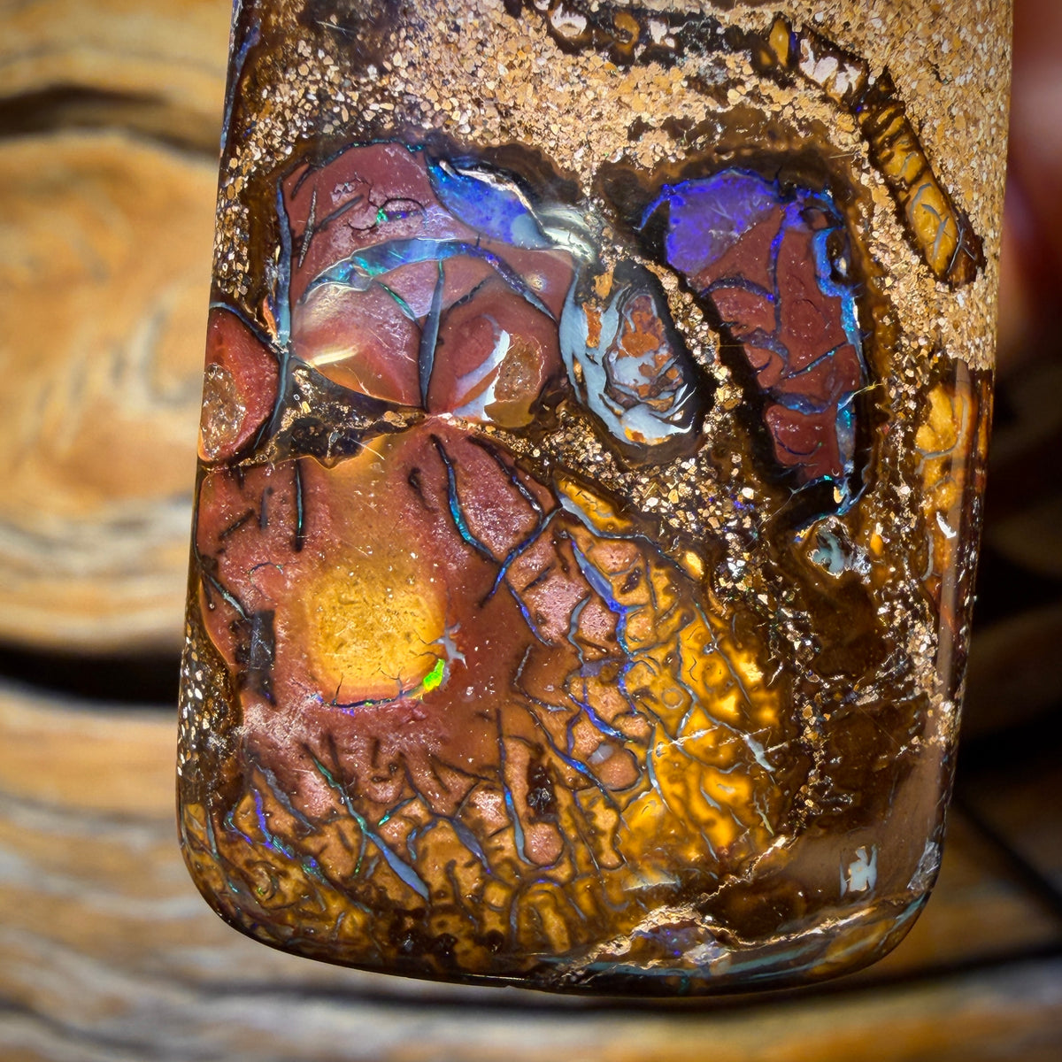 40 x 24mm - Drilled Tribal Queensland Boulder Opal Necklace