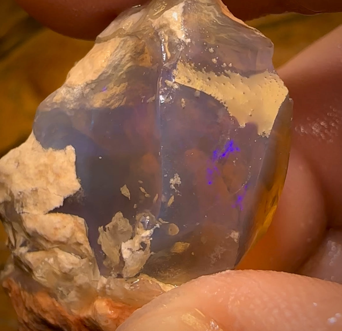 71.5cts - Rare Opalised Geological Specimen from Lightning Ridge