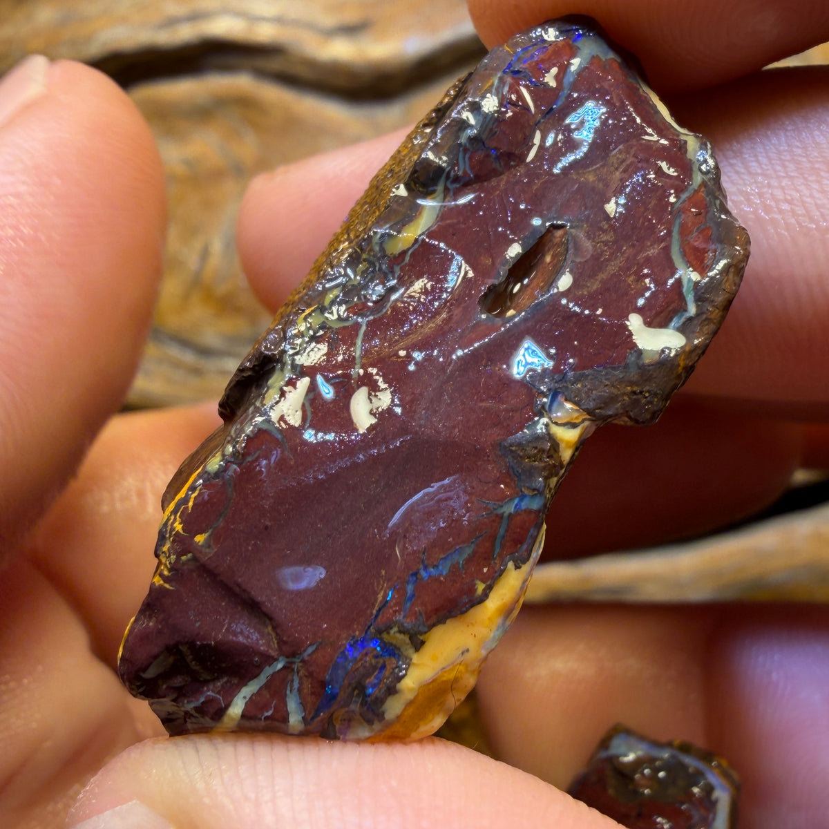 154.2cts - 3x Yowah Nut Rough Opal ParcelWith Crystal Centers