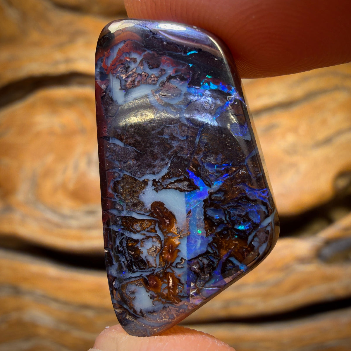 32.1cts - Tribal Queensland Boulder Opal from Yowah