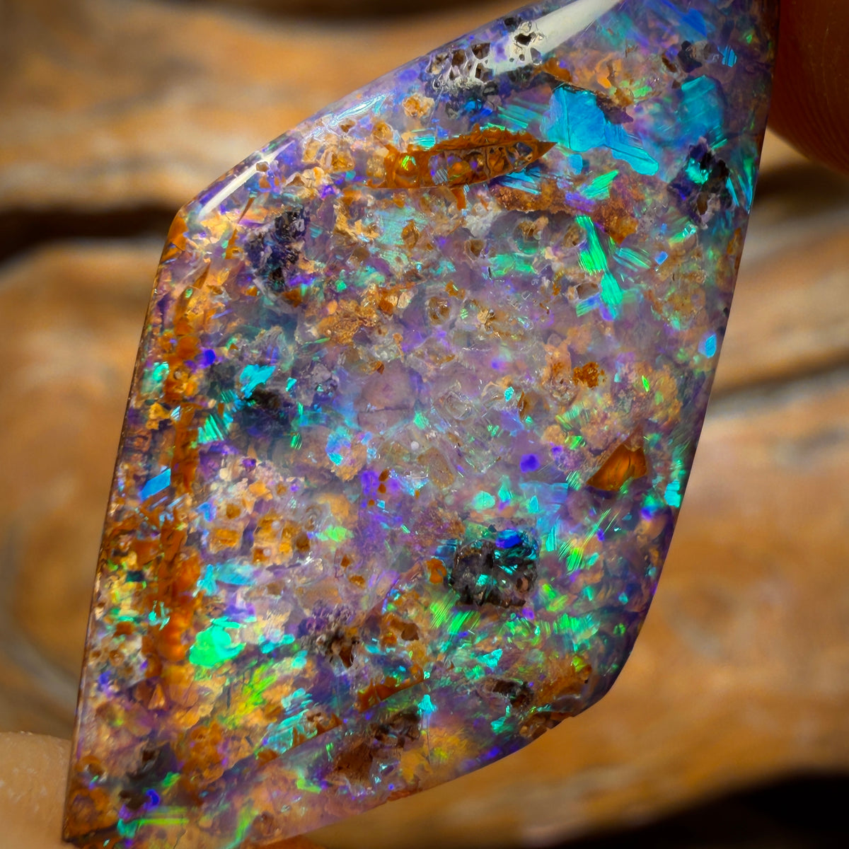 16.6cts - Gem Australian Boulder fossil replacment Opal