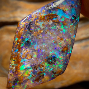16.6cts - Gem Australian Boulder fossil replacment Opal