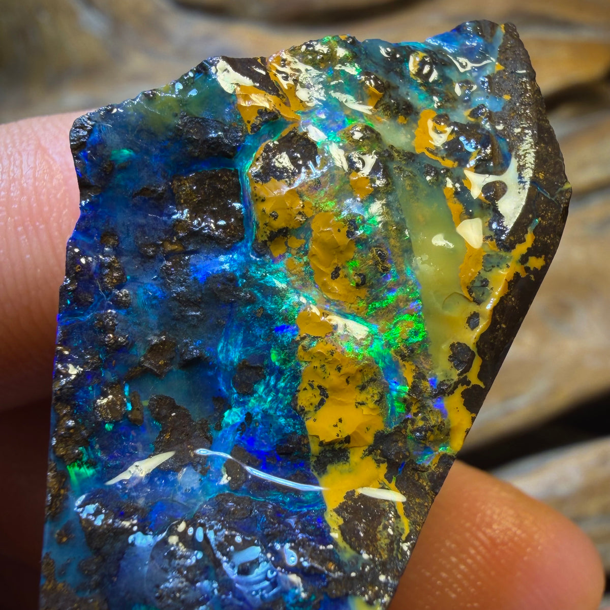 Dad Card! 293cts - Top Queensland Boulder Seam Opal Rough Pair. Natural Split