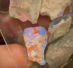 56.5cts - Lightning Ridge, Fossil Rough Opal Specimen - Opalwhisperers