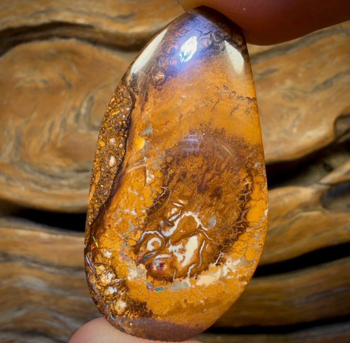 Aren’t you glad you waited till the end Card! 40.2cts - Tribal Australian Boulder Nut Opal from Yowah