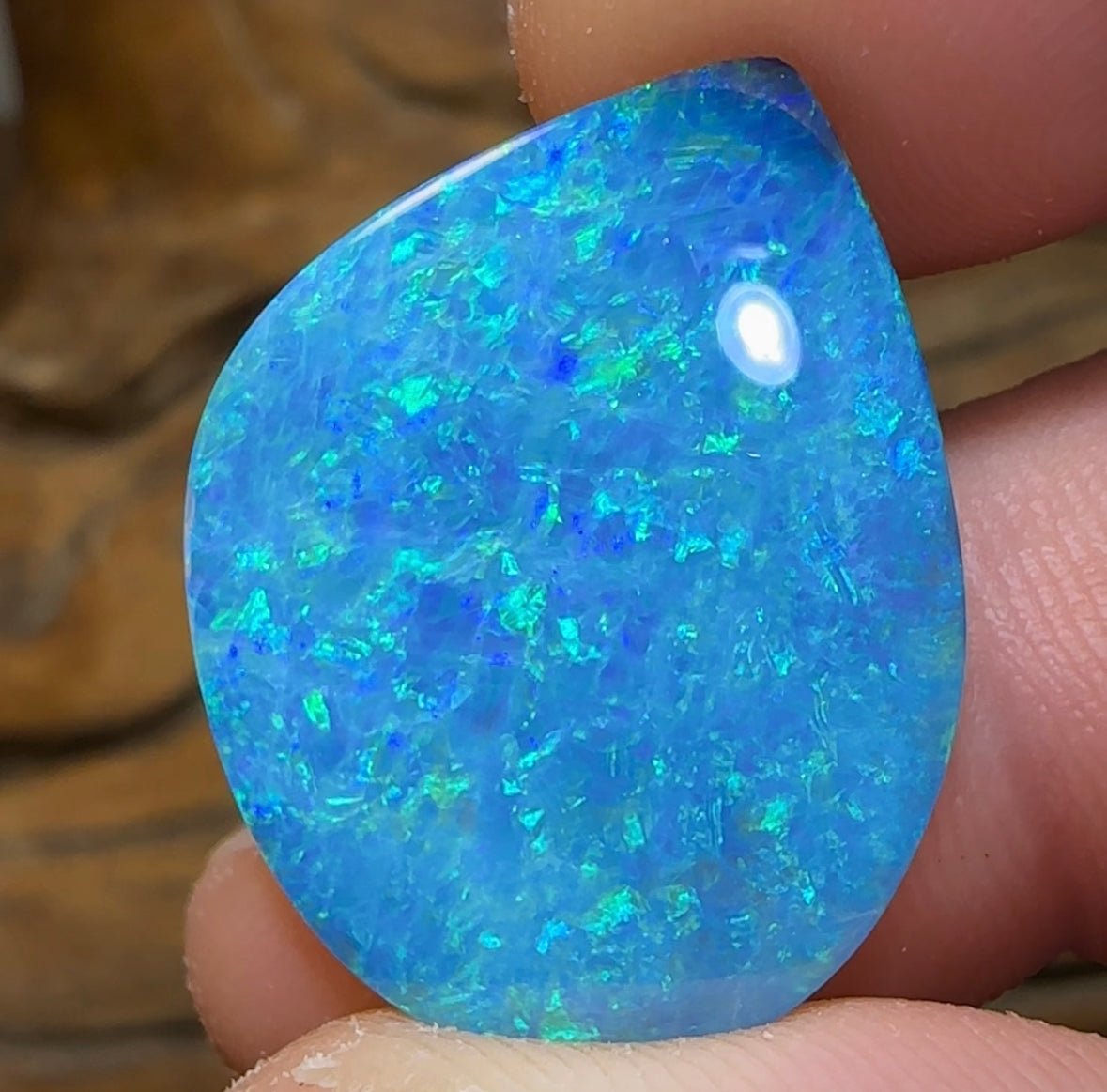 12.8cts - Largest Australian Boulder Opal Doublet Heritage Collection - Opal Whisperers
