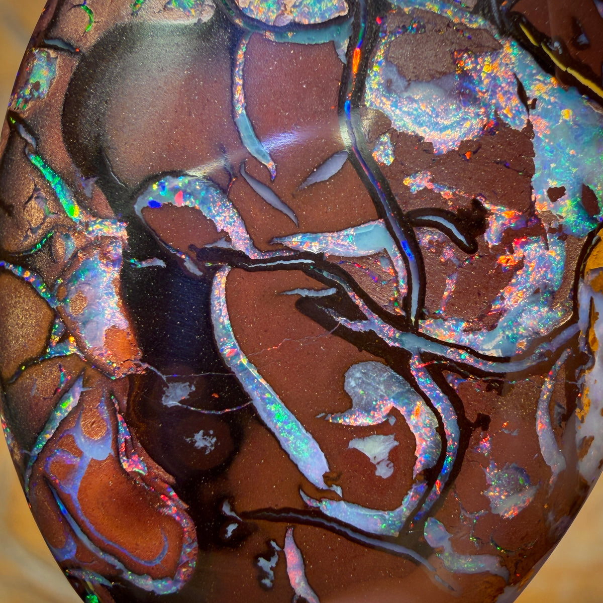 81.1cts - TOP Tribal Australian Boulder Opal from Koroit. RED MULTI!