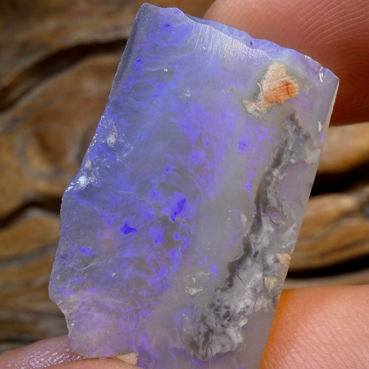 HDW 31.2cts - Lightning Ridge Dark Opal Rough Piece