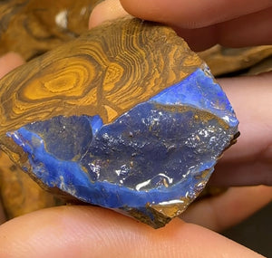 410g - 7 x Queensland Boulder Opal Split Parcel - Opal Whisperers