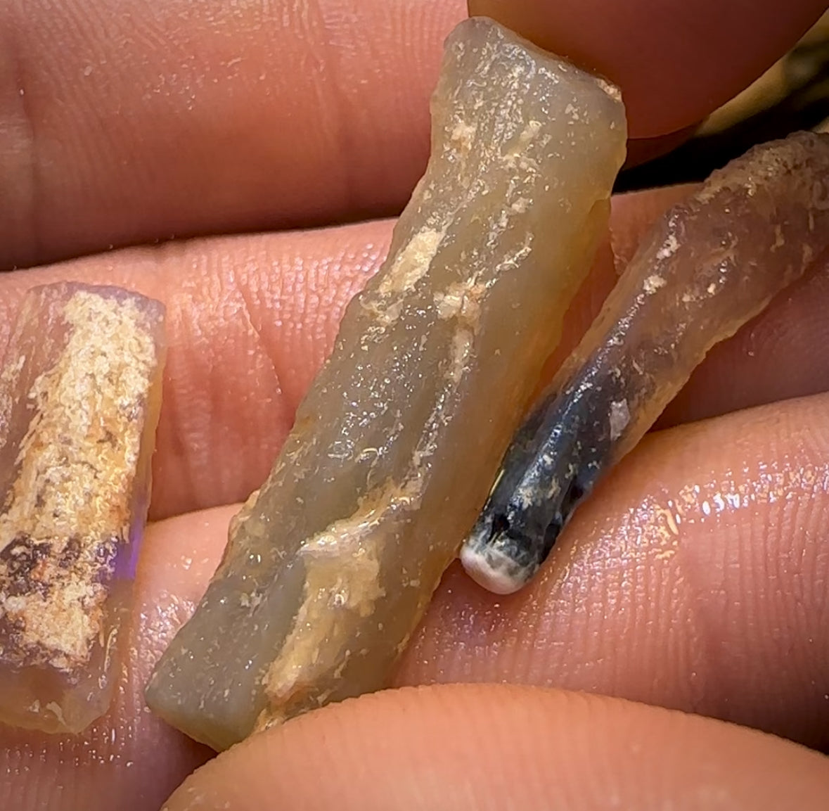 🔨 AUCTION 🔨 No Reserve 23.8cts - 3x Opalised Fossil Geological Specimens from Lightning Ridge