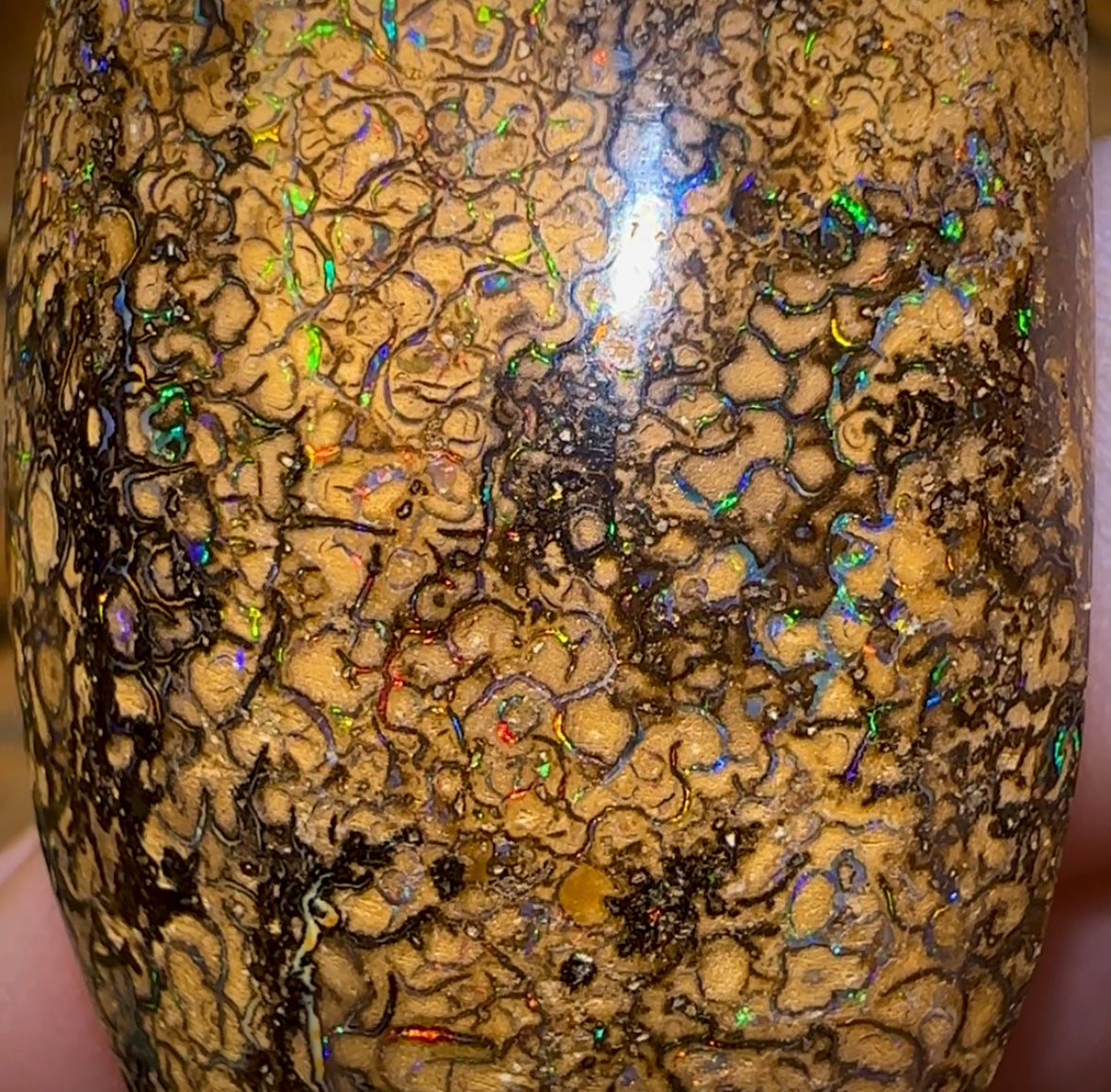 127.8cts - Large Yowah Nut Intricate Tribal Australian Boulder Opal. - Opal Whisperers