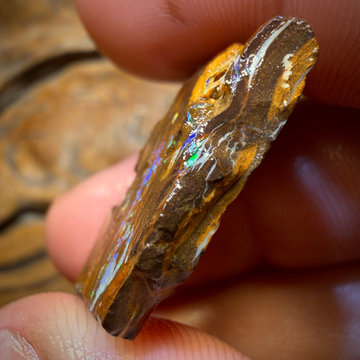 Wildcard! 34.4cts - “Super Bright Below?” Yowah Nut Bright Opal Rough Preform