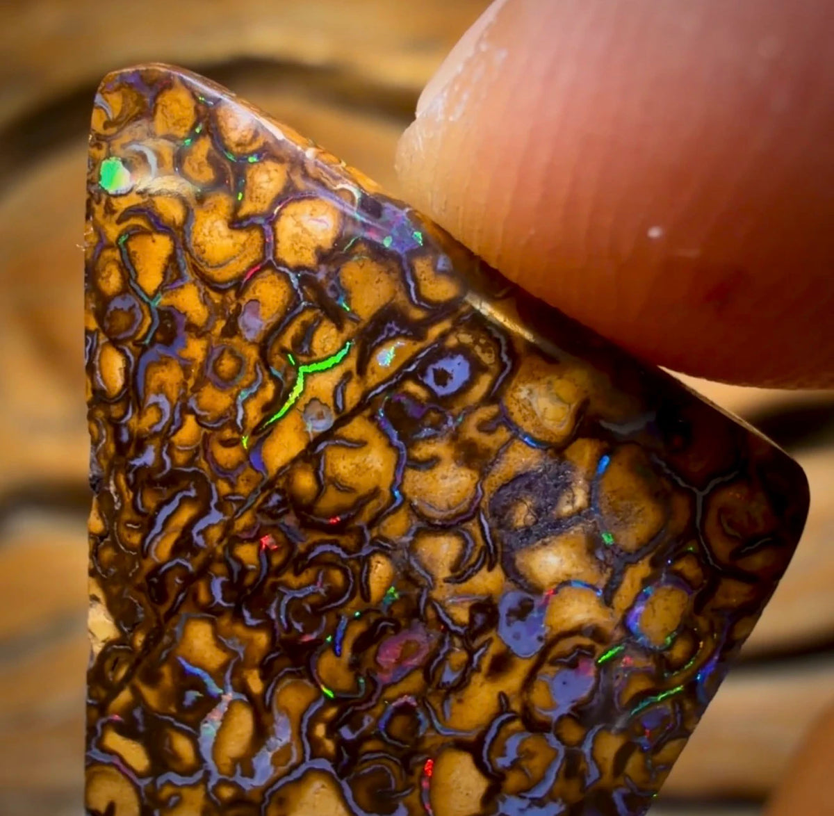 14.3cts - Tan Tribal Australian Boulder Opal from Yowah