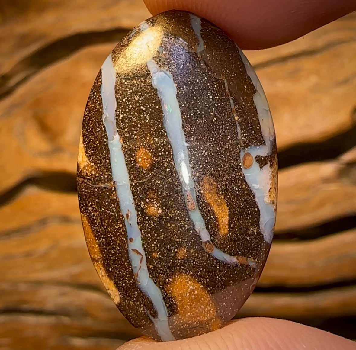 🔨 AUCTION 🔨 No Reserve 22.5cts - Queensland Boulder Seam Opal