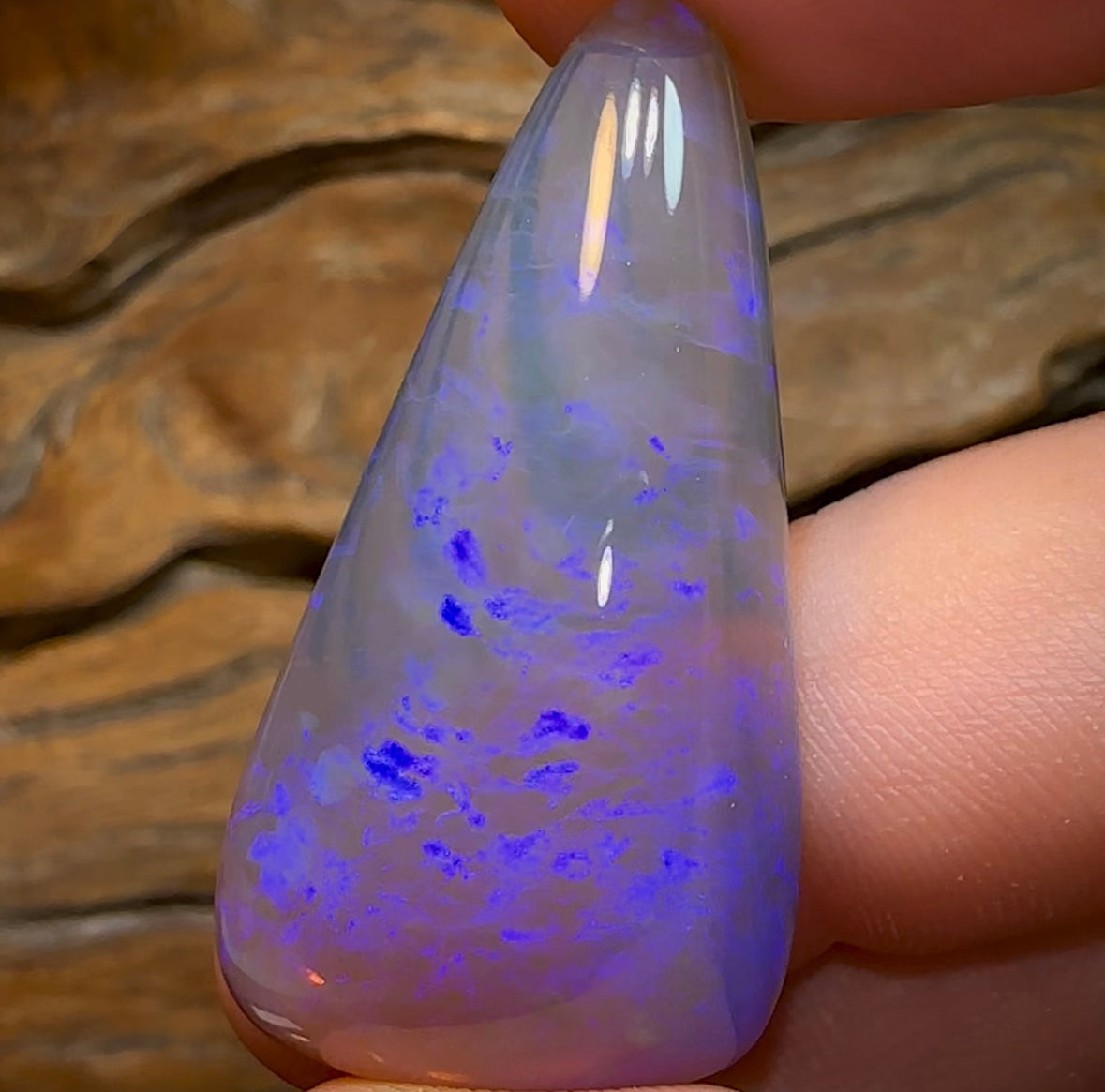 51.3cts - BIG Lightning Ridge Crystal Opal - Opal Whisperers