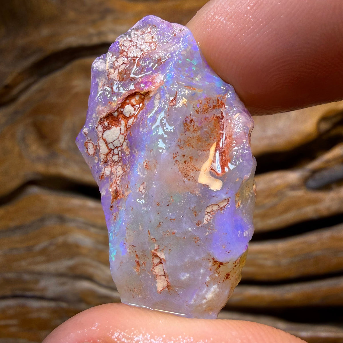 33.1cts - Lightning Ridge Crystal Opal Rough Piece