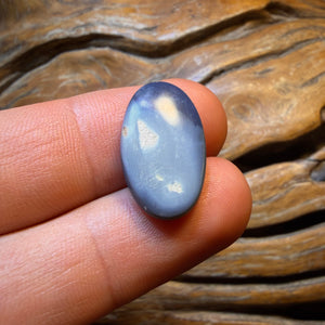 Bargain Card! 4.6cts - Gem Lightning Ridge Black Opal