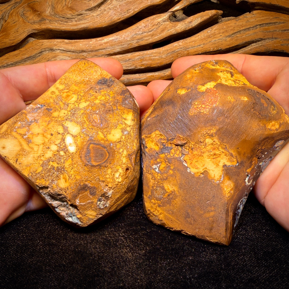 Bargain Monster Card!  2279cts - Large Tribal Yowah Nut Opal Pair. Polished Specimens