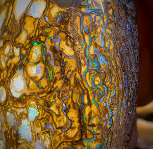 617.5cts - Tan Tribal Queensland Boulder Opal. Polished Specimen