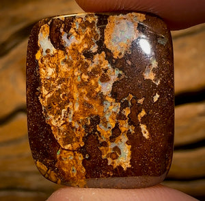 🔨 AUCTION 🔨 No Reserve 21.6cts - Yowah Nut Opal