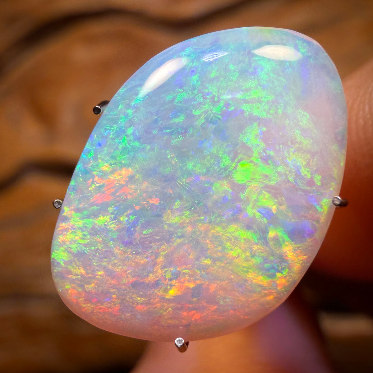 Banger Card! 4.6cts - Gem Rare South Australian Crystal Opal from Mintabie
