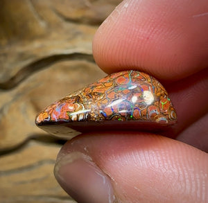 31.3cts - Double Sided Yowah Nut Opal Specimen. Orange Tribal Pattern