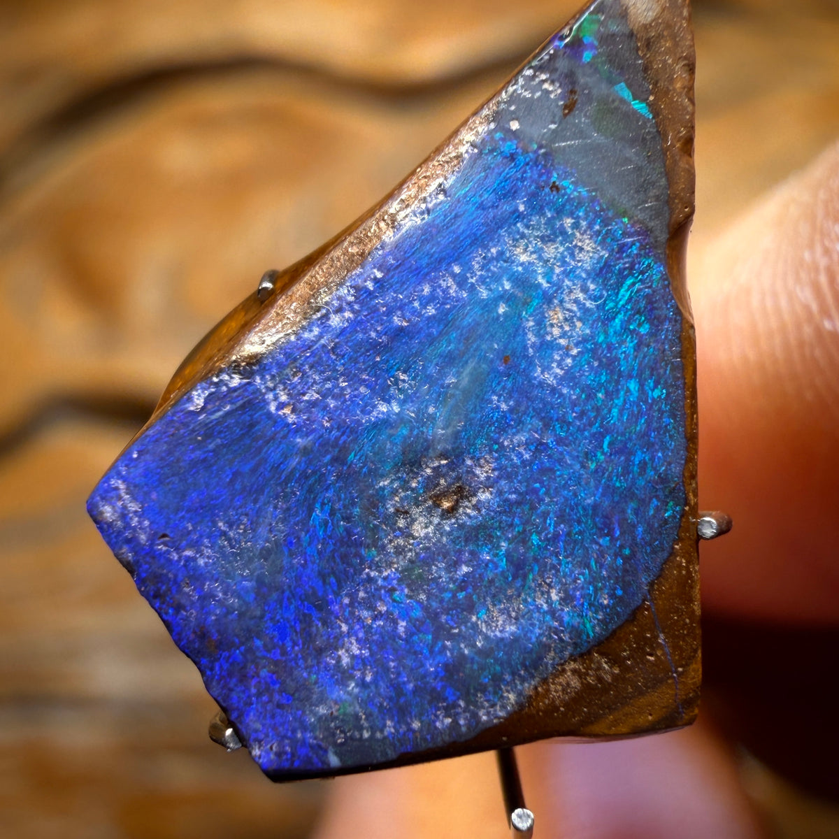 Wildcard! 7.9cts - Queensland Boulder Seam Opal Rub