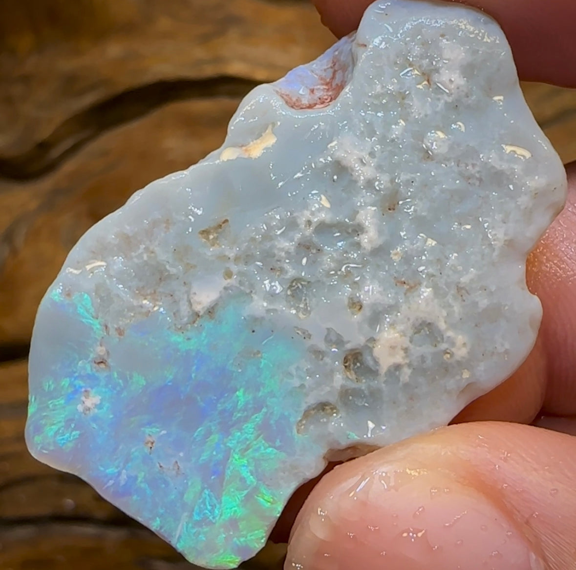 47.5cts - Dark Opal Rough Piece from Lightning Ridge. - Opal Whisperers