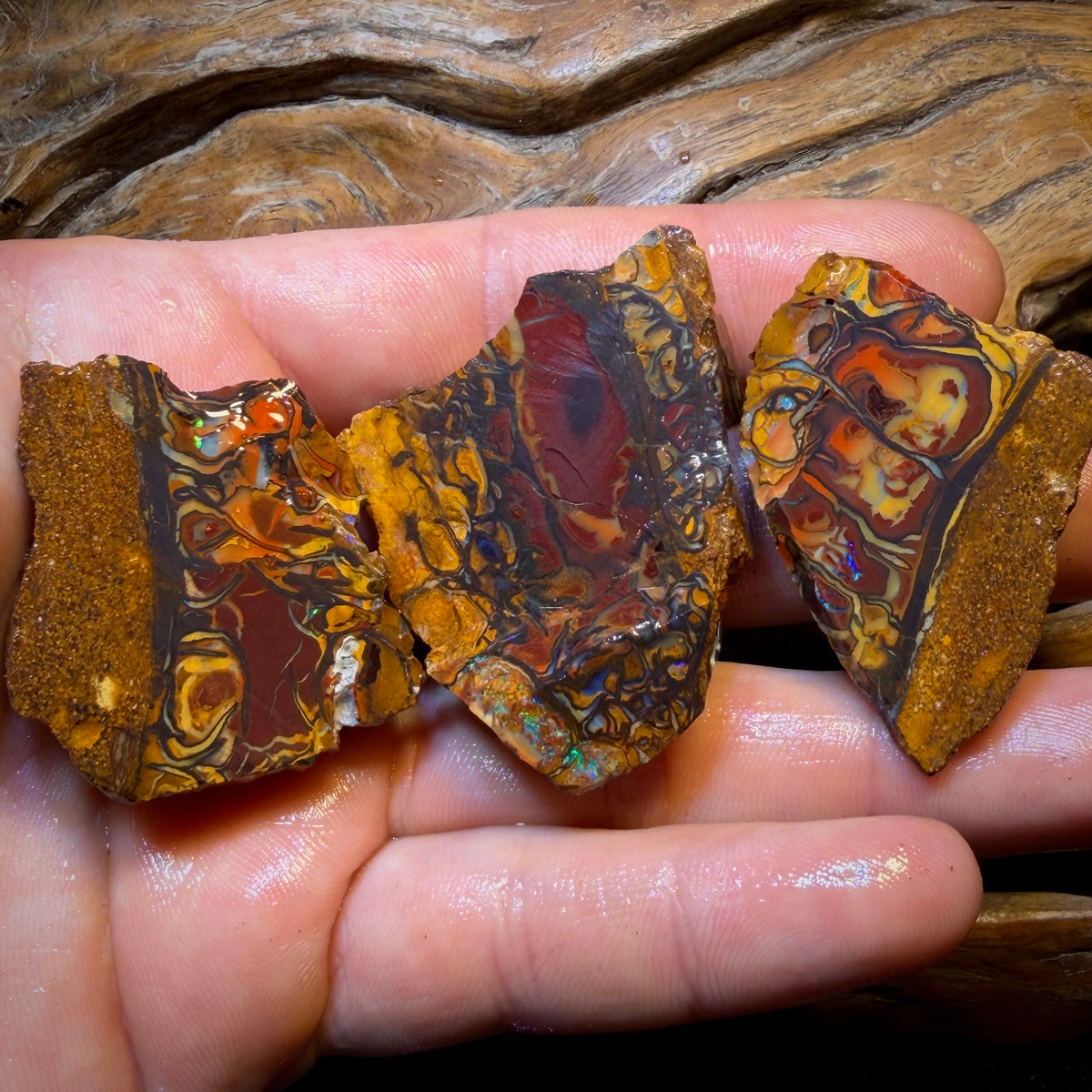 336cts - 3x Yowah Nut Tribal Opal Rough Parcel. Australian Boulder Opal