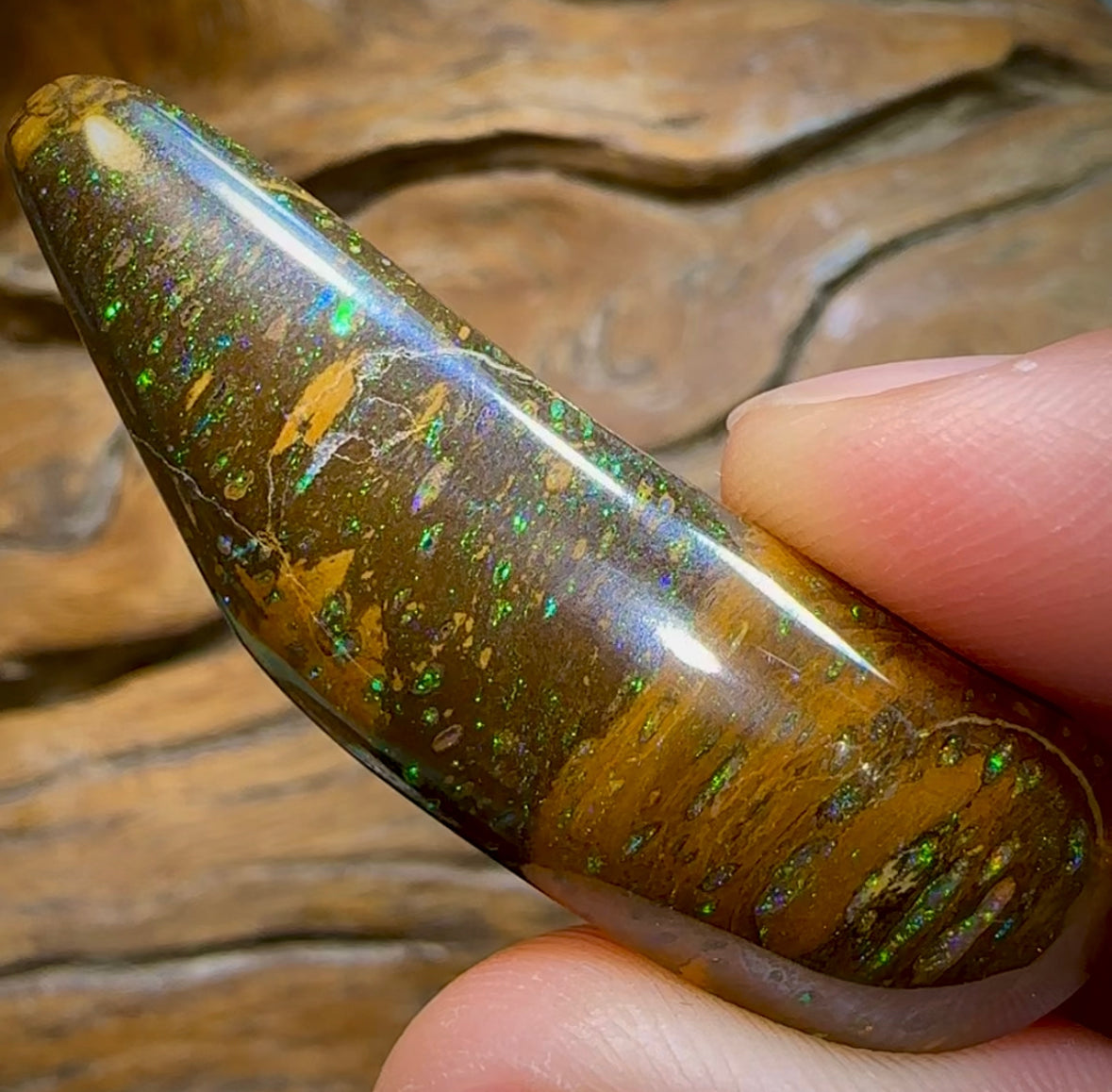 49cts - Queensland Boulder Opal from Yowah. Unique Tight Conglomerate. - Opal Whisperers