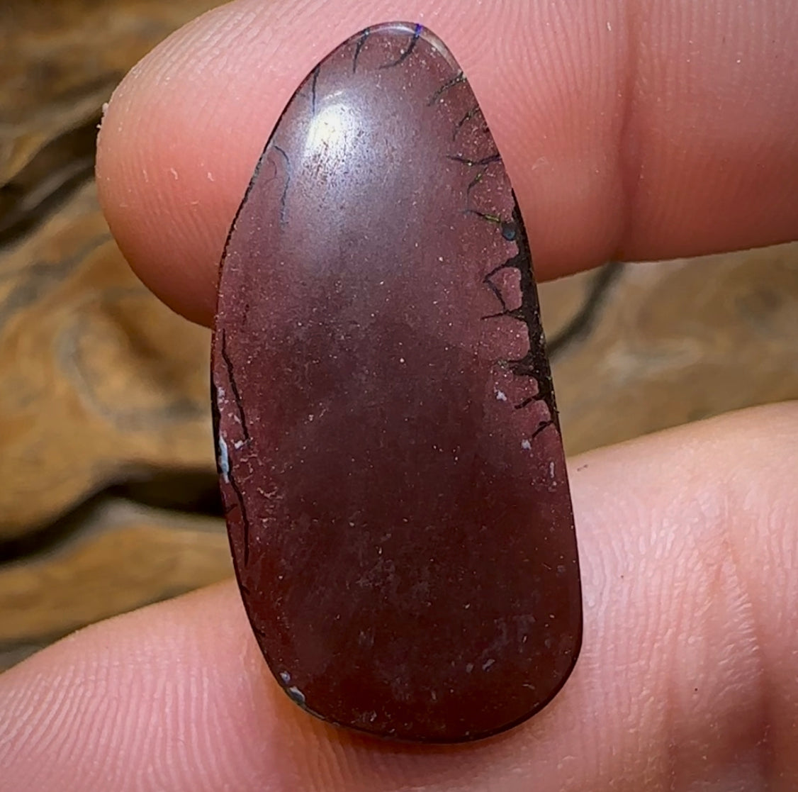 25.4cts - Koroit Nut Tribal Opal. Australian Opal - Opal Whisperers