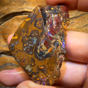 299.1cts - Yowah Nut Conglomerate Rough Piece. Featured On ‘OUTBACK OPAL HUNTERS’!!
