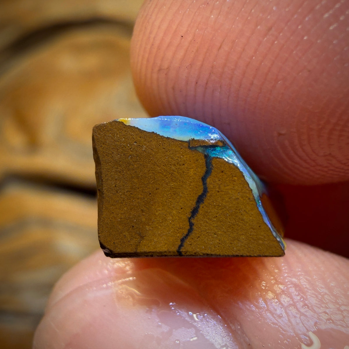 TGIF 8.6cts - Queensland Boulder Seam Opal Rub
