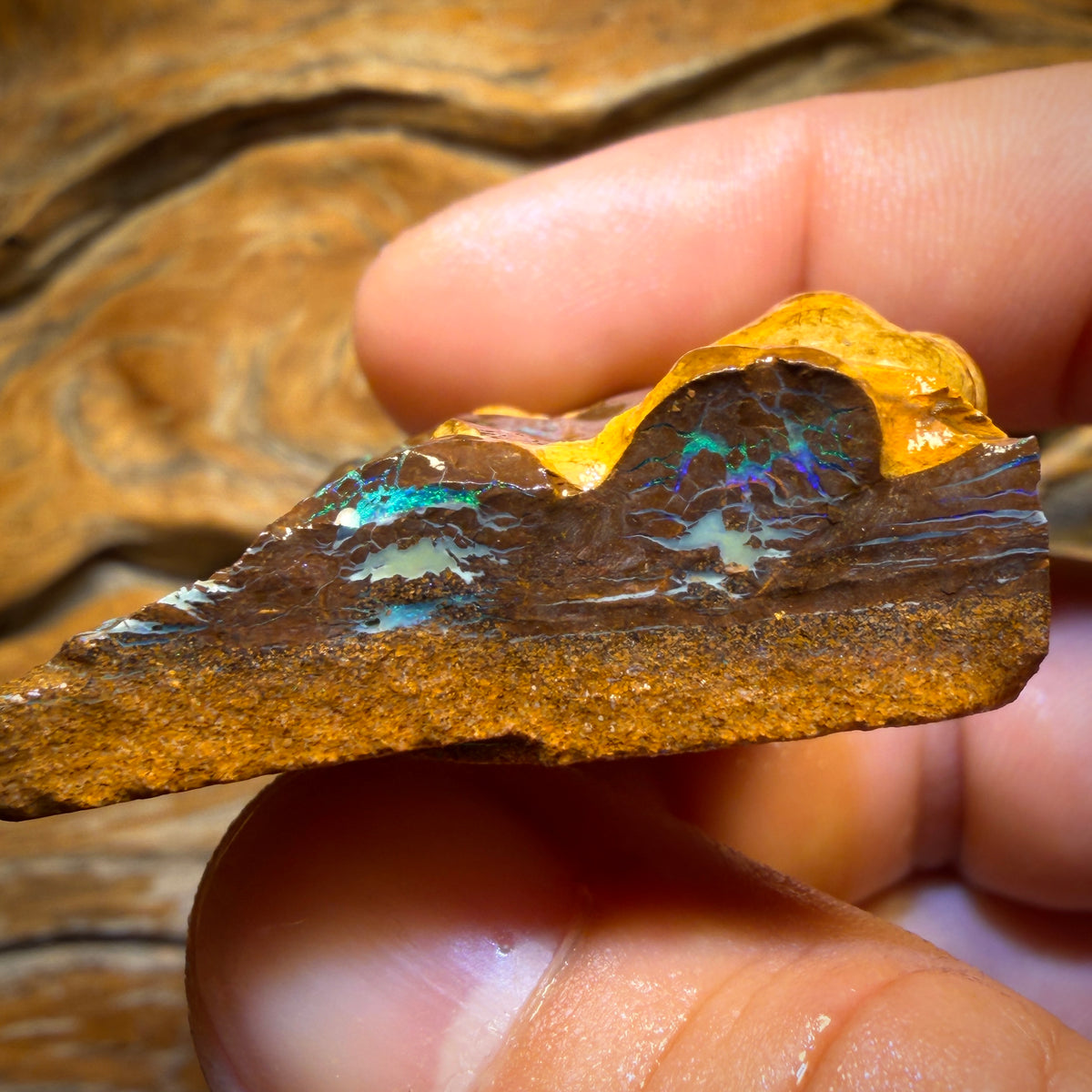 347.3cts - Huge Full Face Carving Potential Yowah Opal Rough Piece. Bubble Band