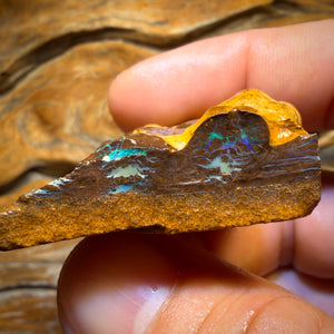 347.3cts - Huge Full Face Carving Potential Yowah Opal Rough Piece. Bubble Band