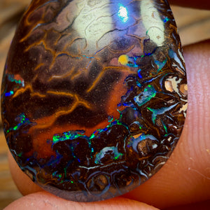 24.5cts - Tribal Queensland Boulder Opal from Koroit