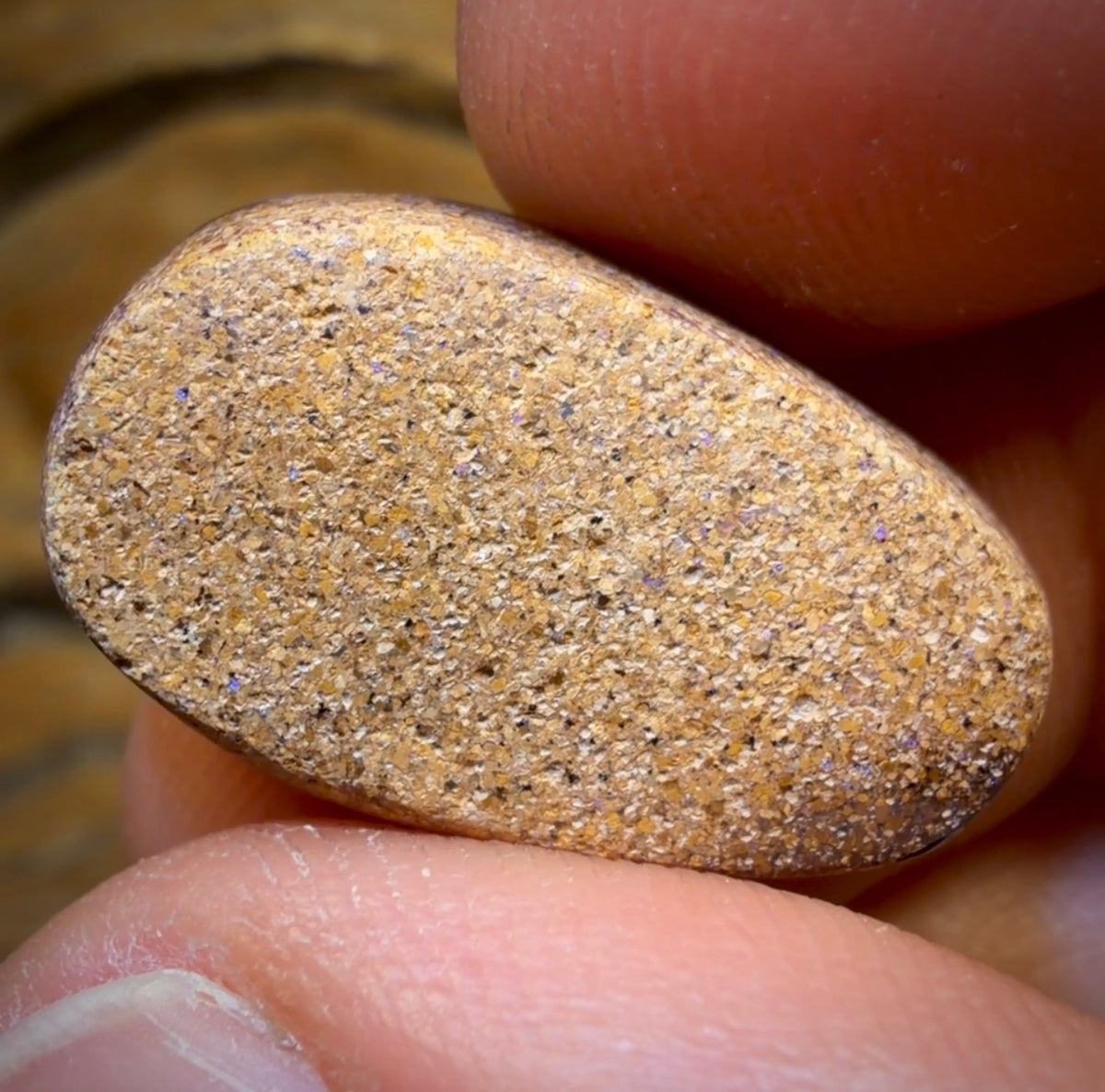 Bargain Card! 17.1cts - Tribal Yowah Nut Opal. Australian Opal