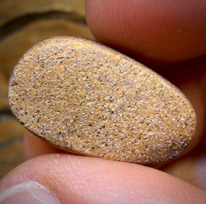 Bargain Card! 17.1cts - Tribal Yowah Nut Opal. Australian Opal