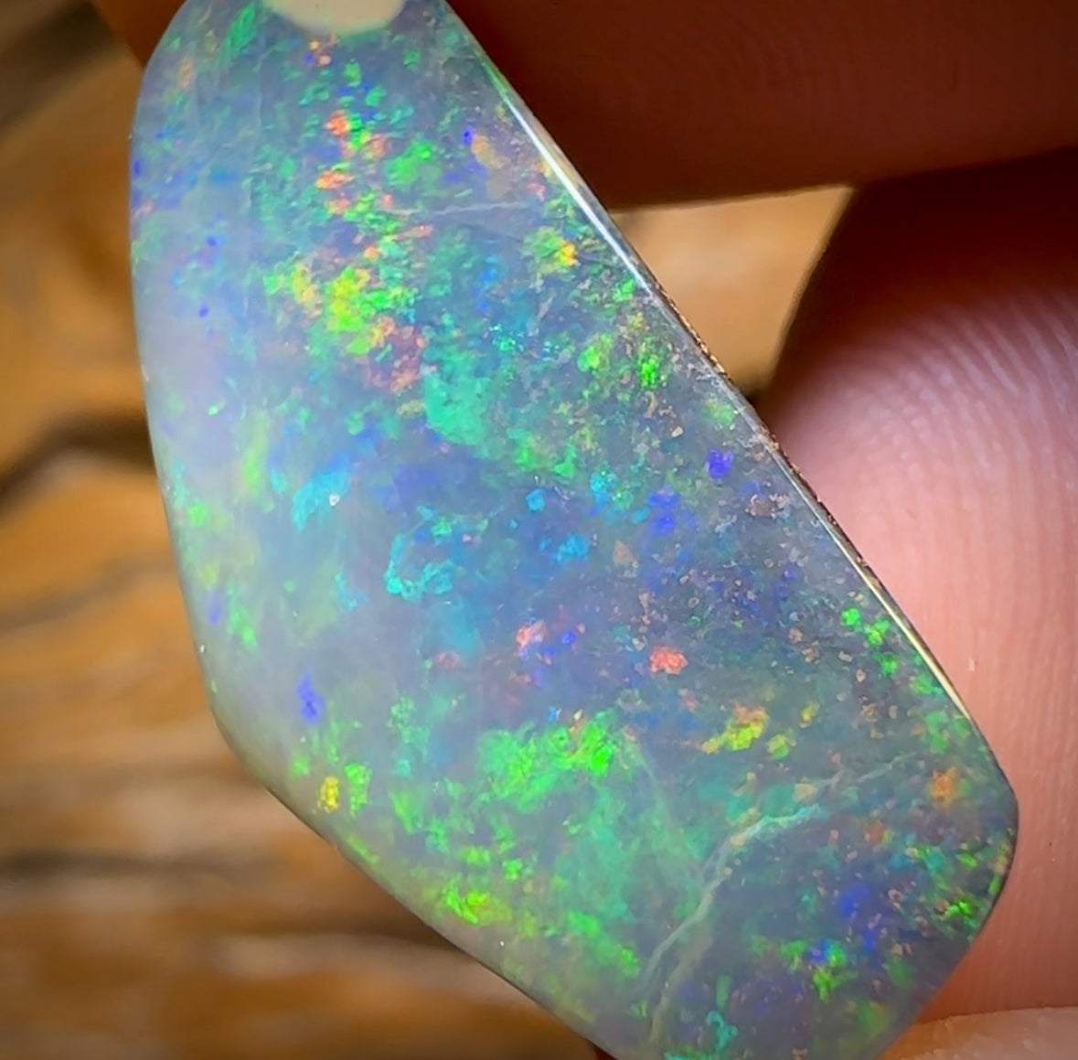 15.6cts - GEM Queensland Boulder Seam Opal