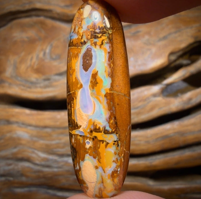 Auktion lose 22,1 cts - Yowah Nussopal. Australischer Opal