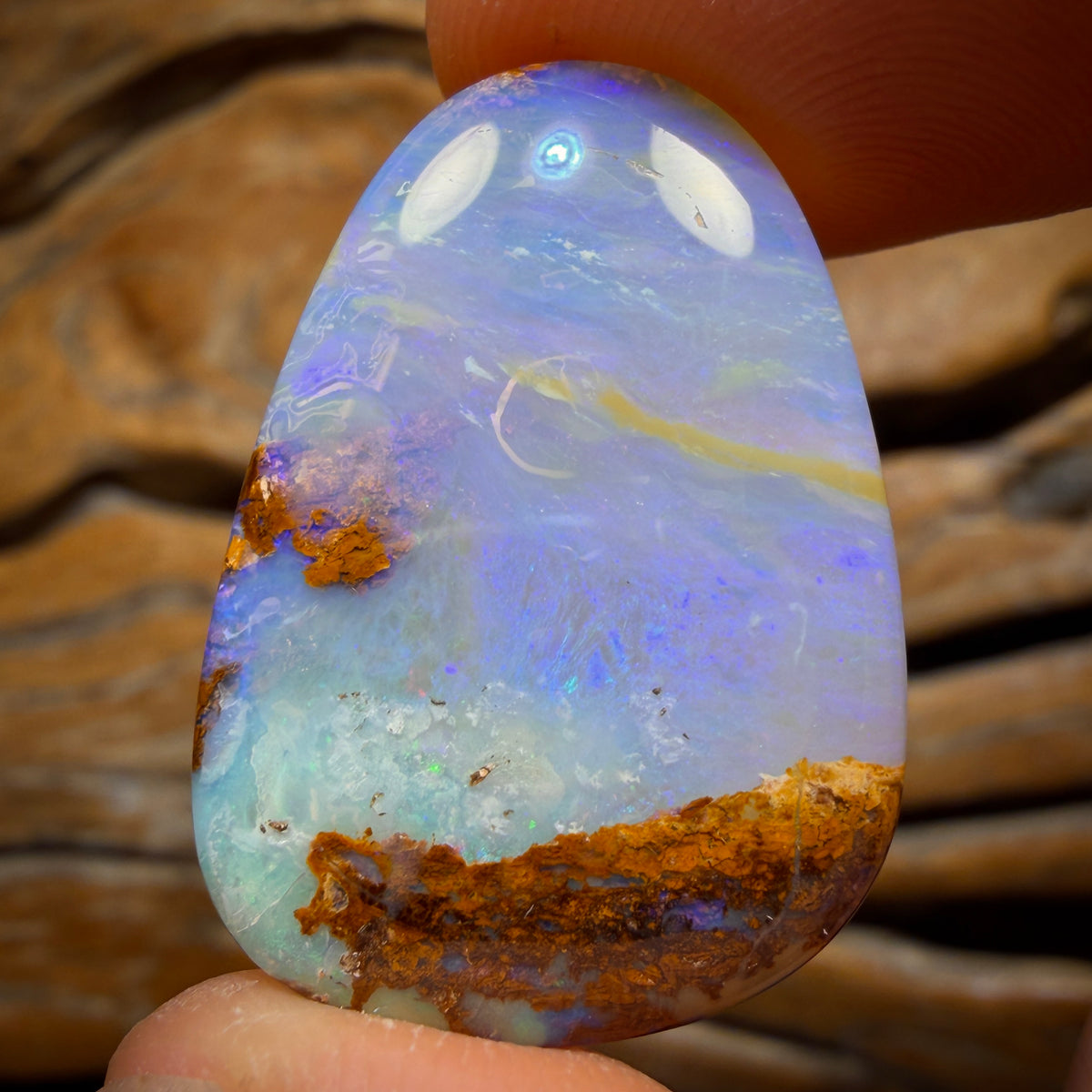 34.1cts - Wood Fossil Replacement Boulder Opal from Yowah