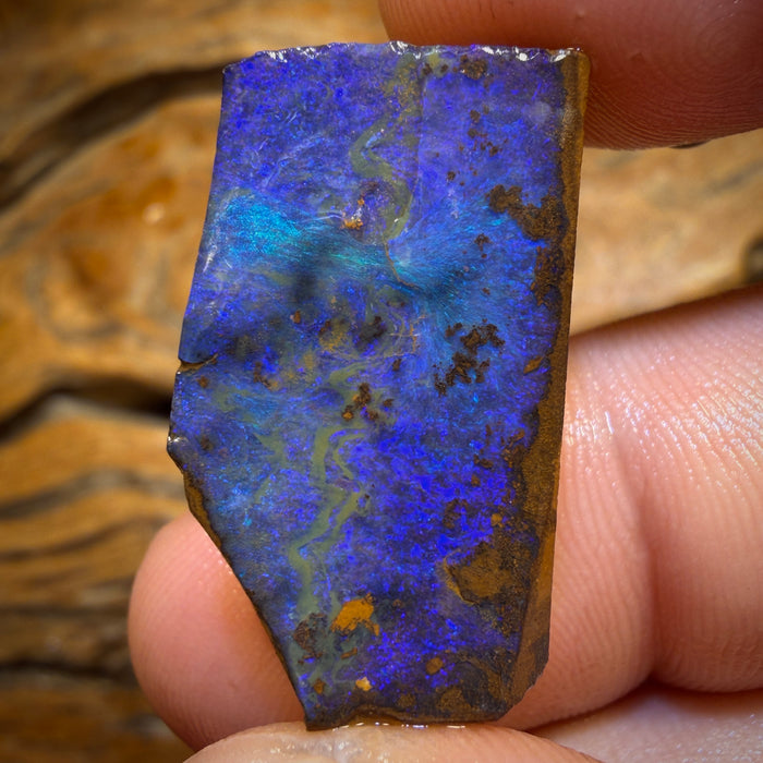 34.2cts - Queensland Boulder Seam Opal Rub