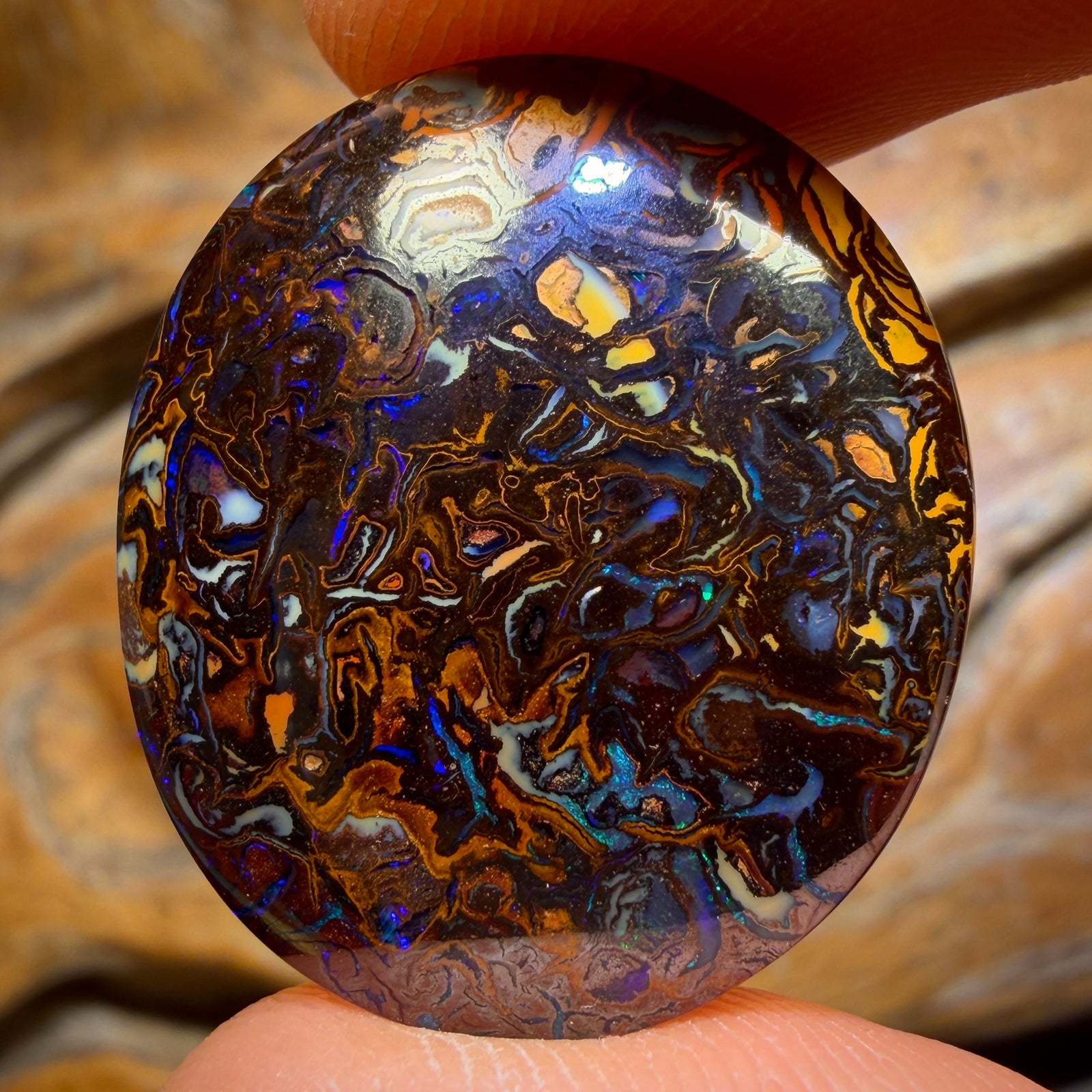 34.3cts - Tribal Queensland Boulder Opal from Yowah